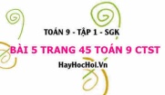 Bài 5 trang 45 Toán 9 tập 1 Chân trời sáng tạo